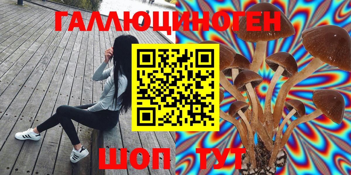 Псилоцибиновые грибы MAGIC MUSHROOMS Каменск-Уральский