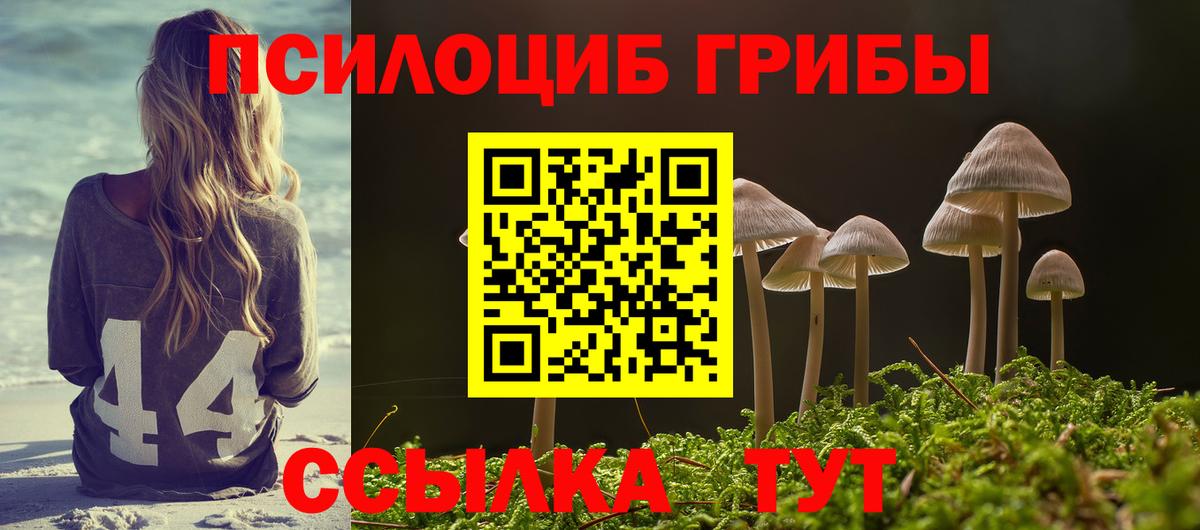 Каменск-Уральский  Галлюциногенные грибы мухоморы  магазин  наркотиков  Вход с VPN  Галлюциногенные грибы ЛСД 